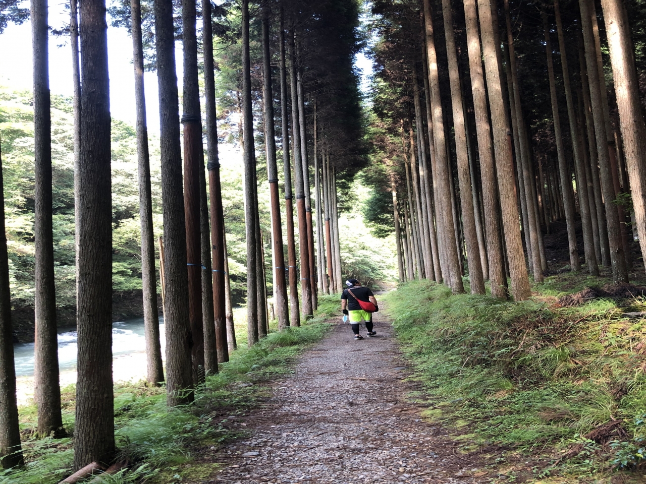 ７月31日、愛宕山千日詣りに出かけましたが、、、
１４時頃登山口に到着、しかし、時間切れ！という事で登らせてもらえませんでした。
せっかく来たのに、残念！！
気分は山登りでしたが、京都トレイル？保津川散策、清滝へ抜けました。
気持ち良かった❣