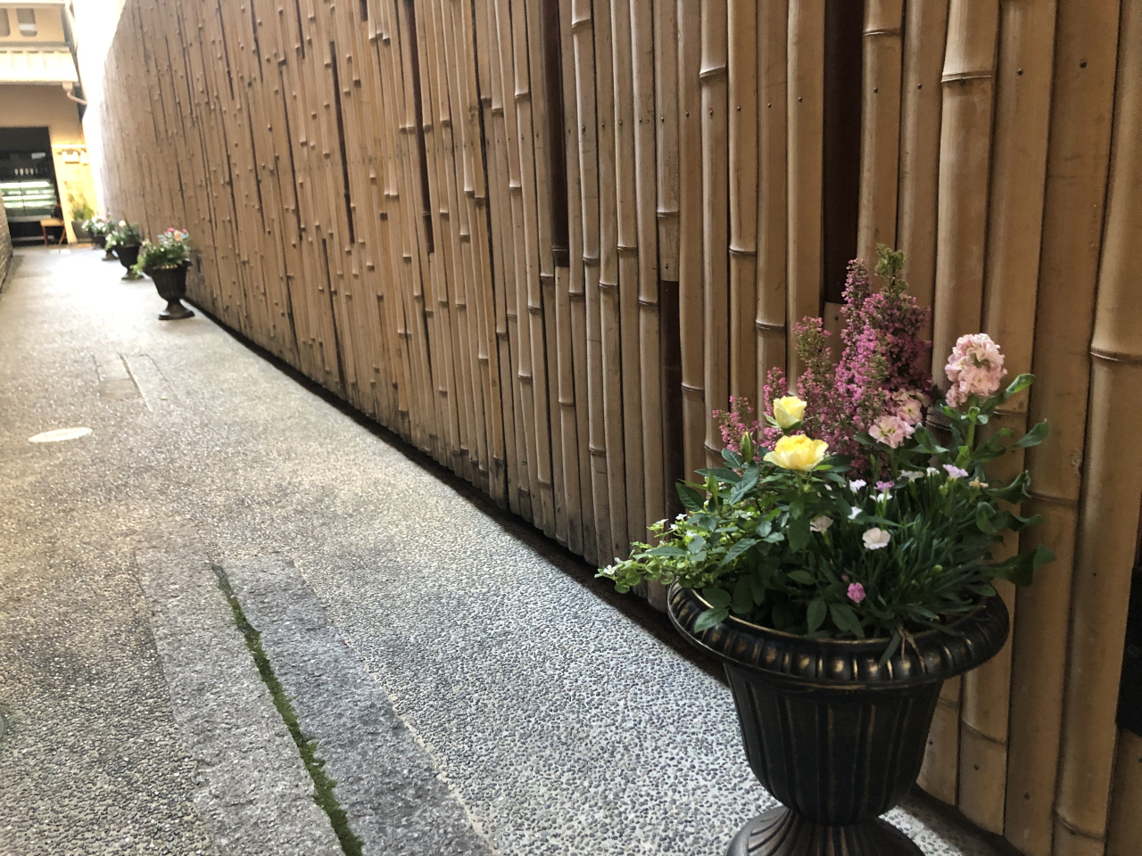 暑すぎた夏が終わり、ノンちゃんのガーデニングが再開しました。玄関も可愛い鉢植えがお出迎えです。<br>Ｔｏｐｉｃへ☛<br>